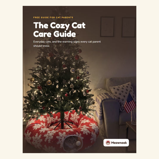 The Cozy Cat Care Guide eBook