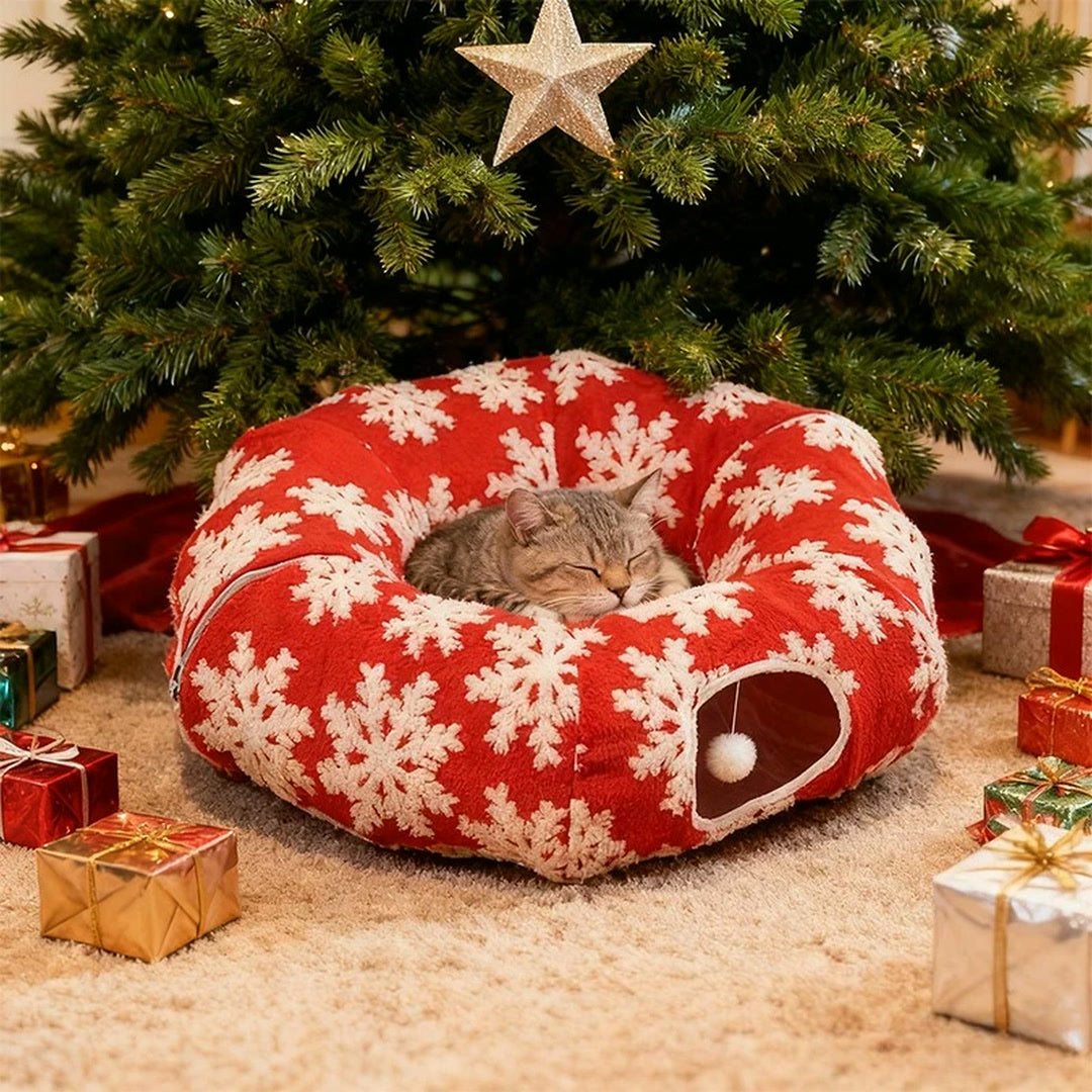 Cat napping in the Meownook