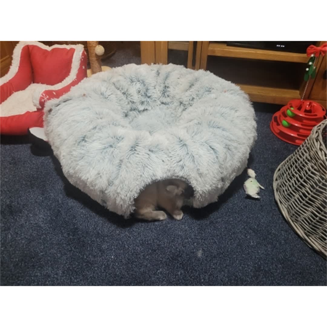 Customer photo